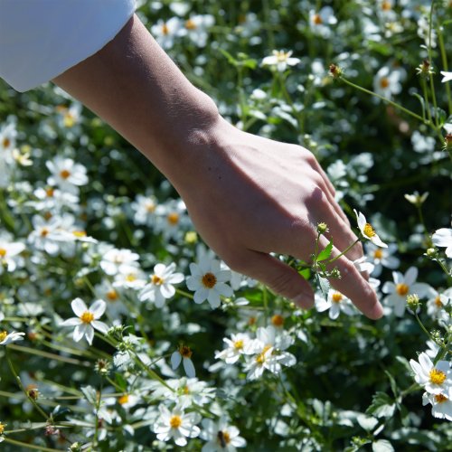MAISON MARTIN MARGIELA-Replica Springtime in a Park - Eau de MAISON MARTIN MARGIELA-Replica Springtime in a Park - Eau de